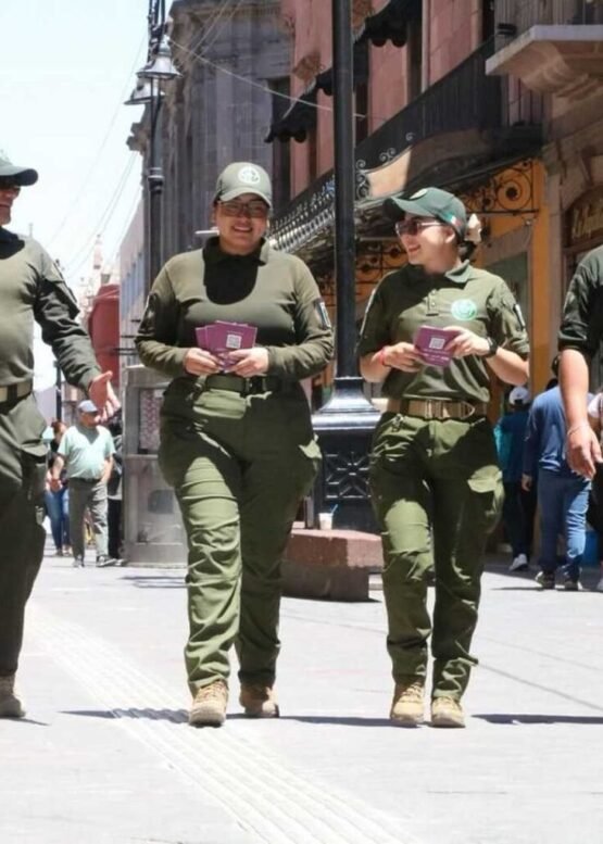 El Vocero Huasteco