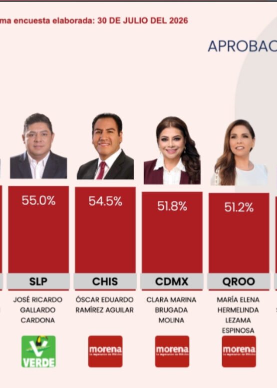 El Vocero Huasteco