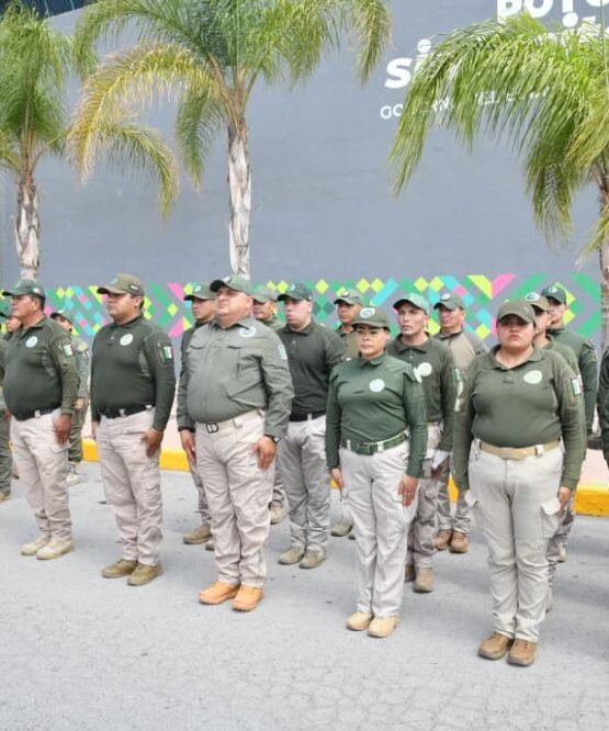 El Vocero Huasteco