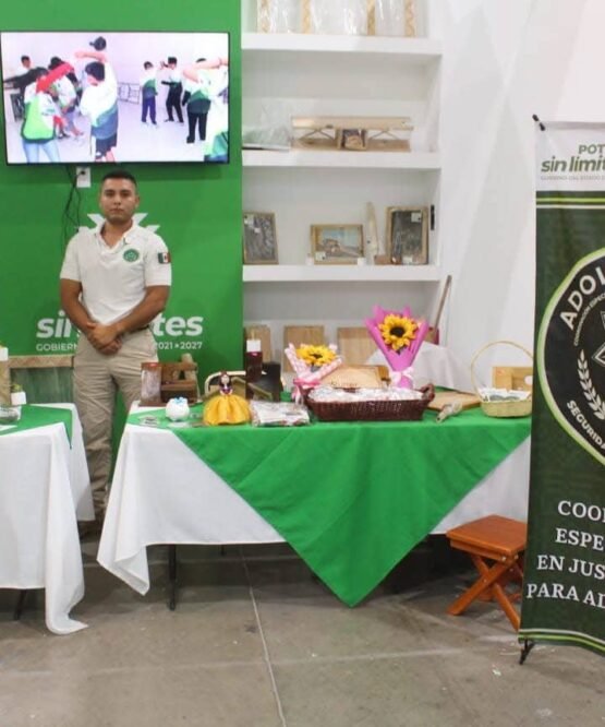 El Vocero Huasteco