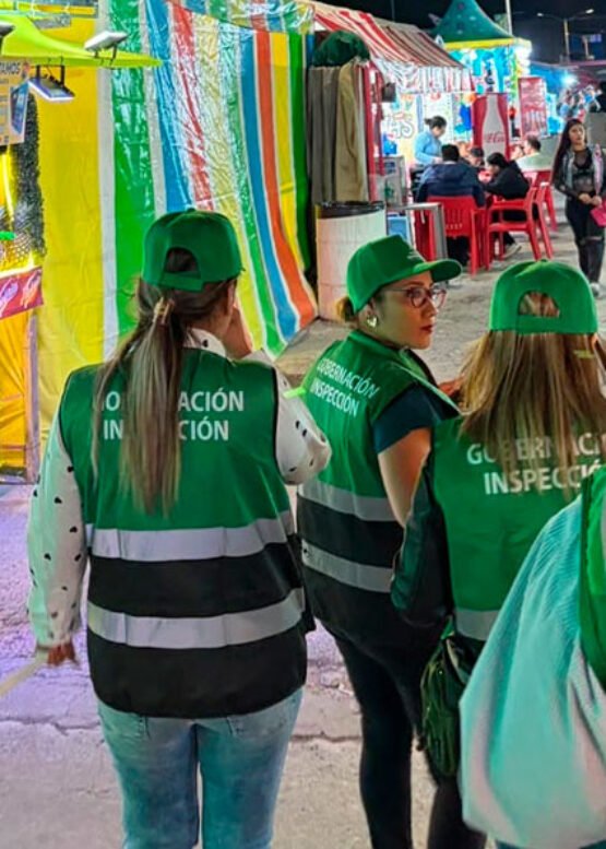 El Vocero Huasteco