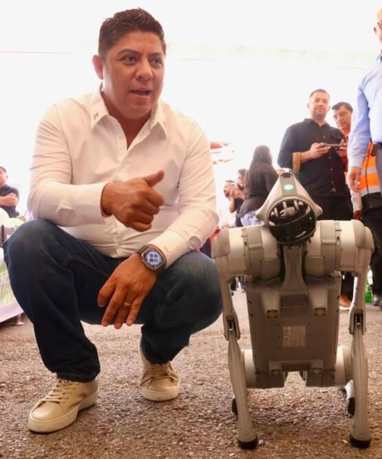 El Vocero Huasteco
