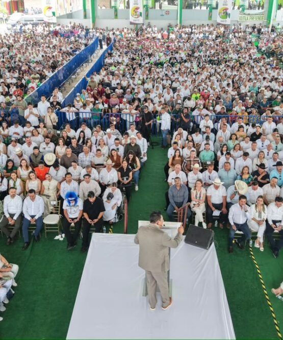 El Vocero Huasteco