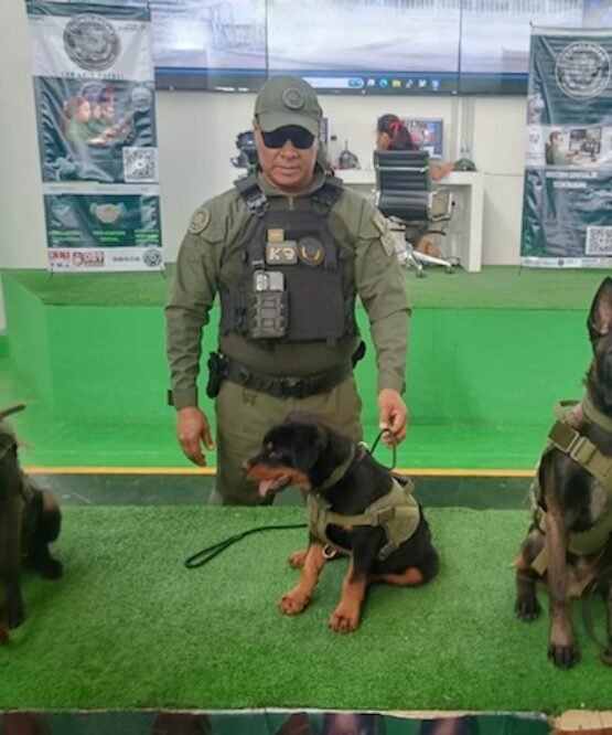 El Vocero Huasteco