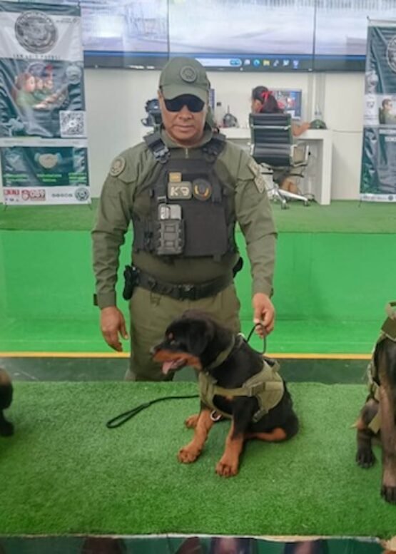 El Vocero Huasteco
