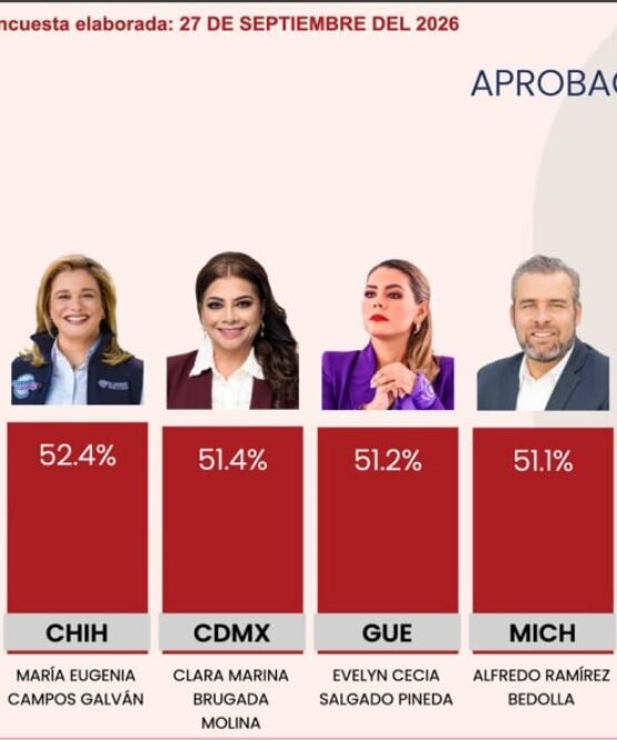 El Vocero Huasteco