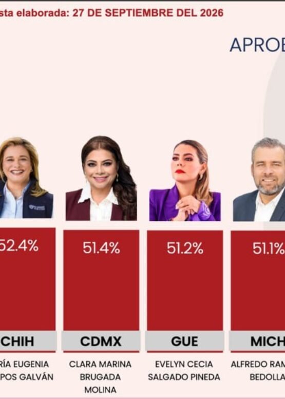 El Vocero Huasteco