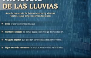 El Vocero Huasteco