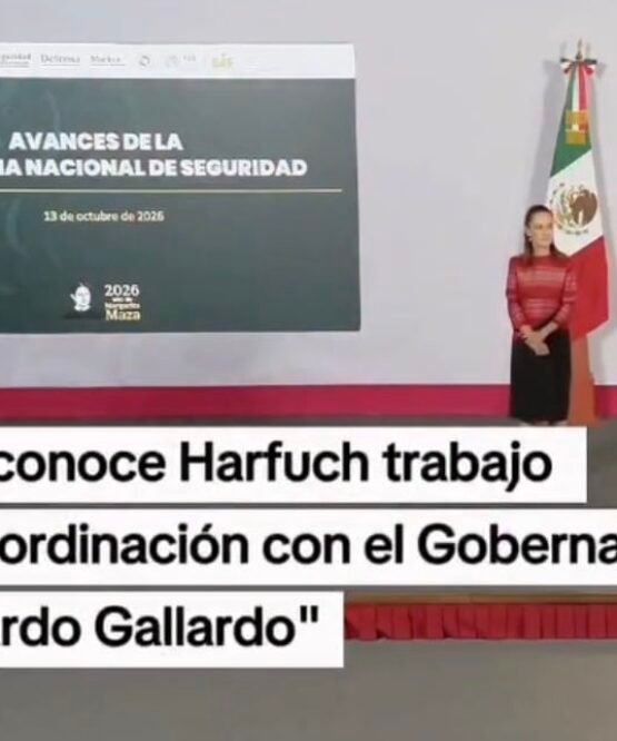 El Vocero Huasteco