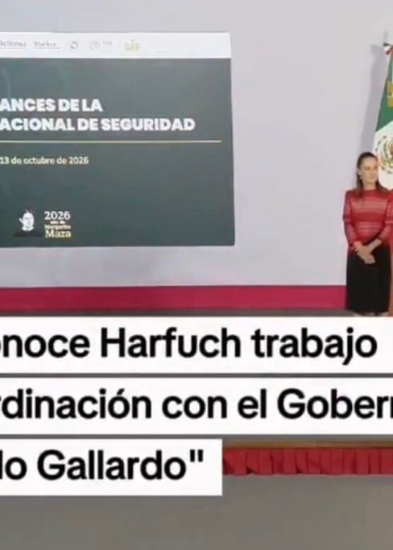 El Vocero Huasteco