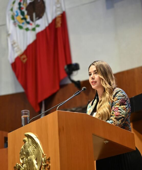 El Vocero Huasteco